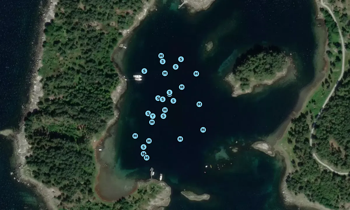 Satelite image of Fjellsholmen