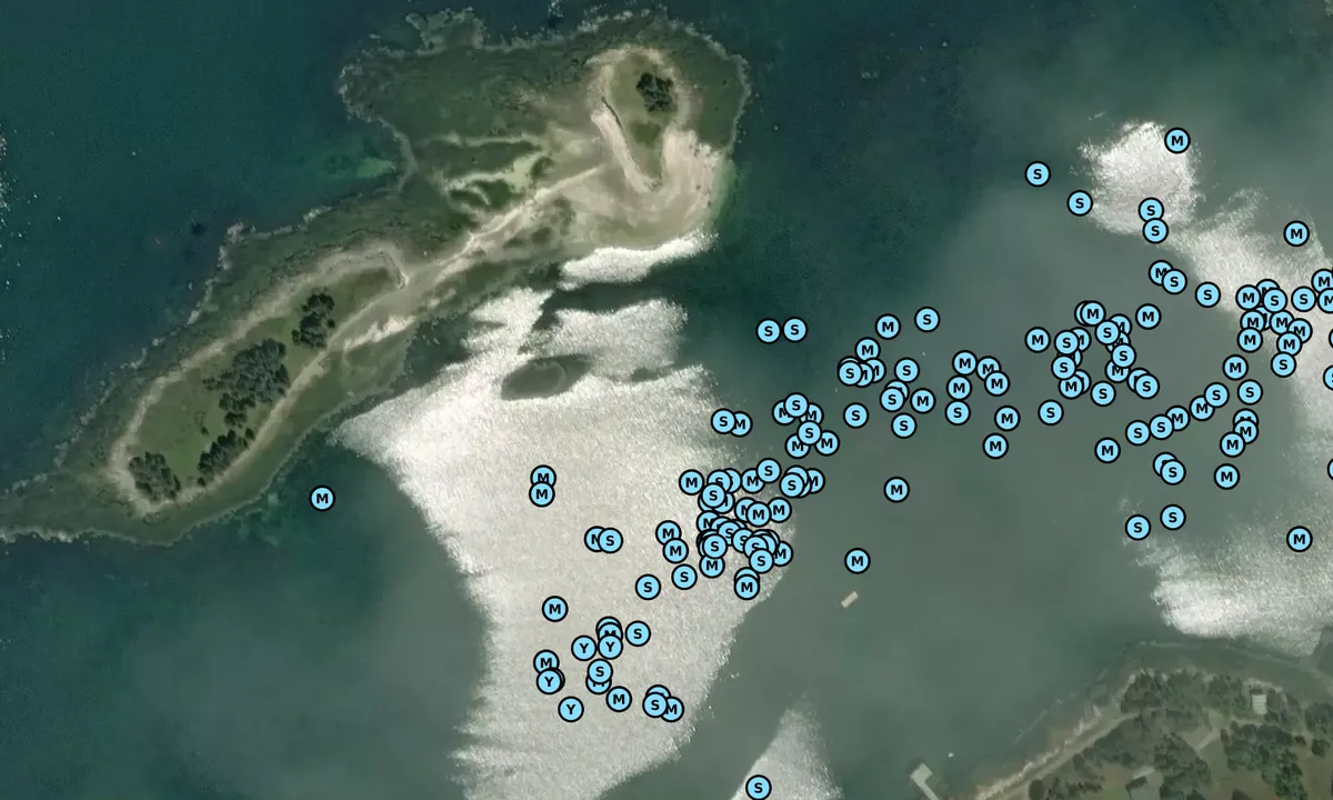 Satelite image of Flake Island (free moorings)