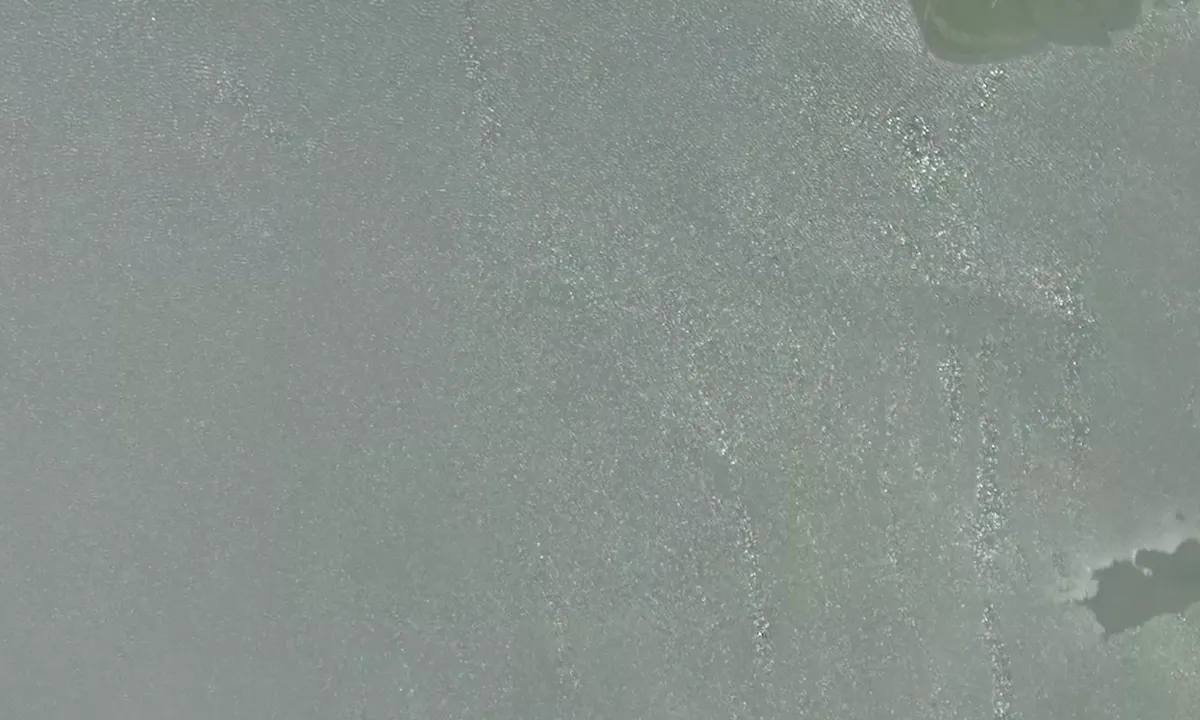Satelite image of Flat Cove