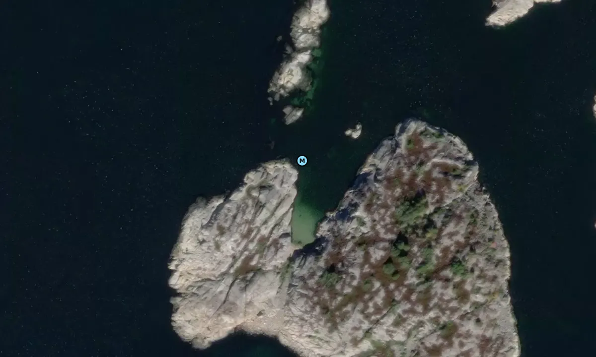 Satelite image of Fløyholmen 