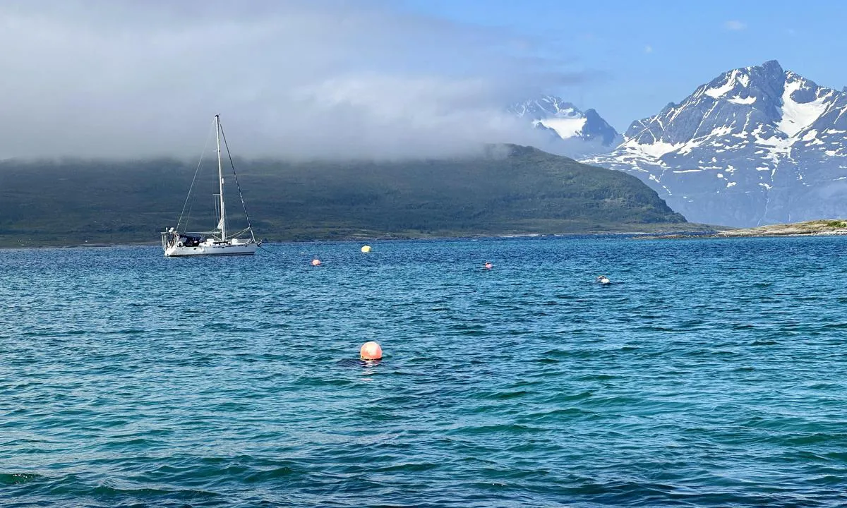 Follesøya: Mange bøyer i den ytterste delen er lagt ut av Skjervøy båtforening. Den store gule ytterst er lagt it av Lerøy seafoods as