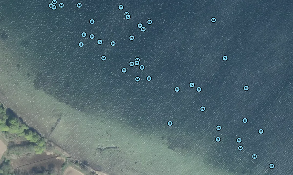 Satelite image of Fønsskov Rev - Gamborg Fjord bouy
