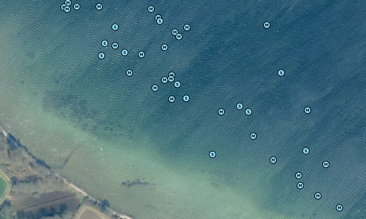 Satelite image of Fønsskov Rev - Gamborg Fjord bouy