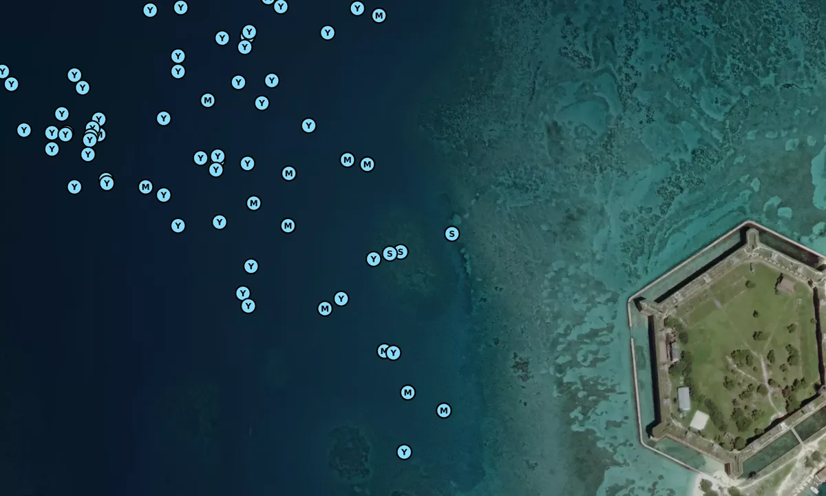 Satelite image of Fort Jefferson Northwest