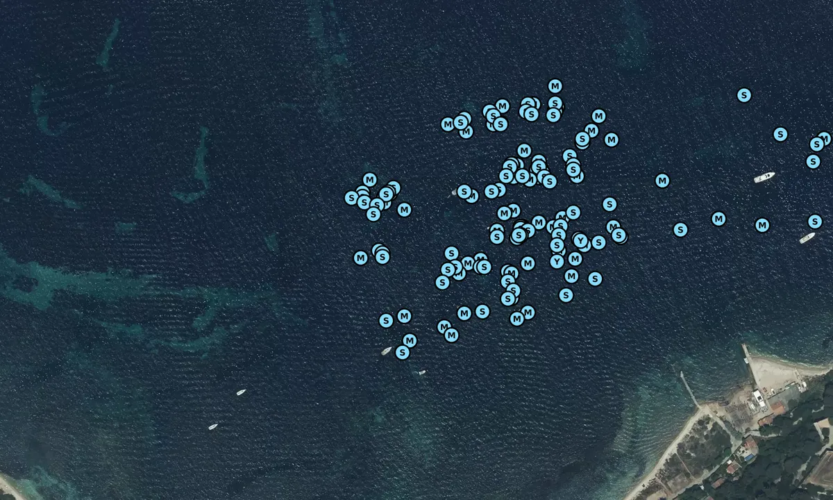 Satelite image of Fort Sainte-Marguerite