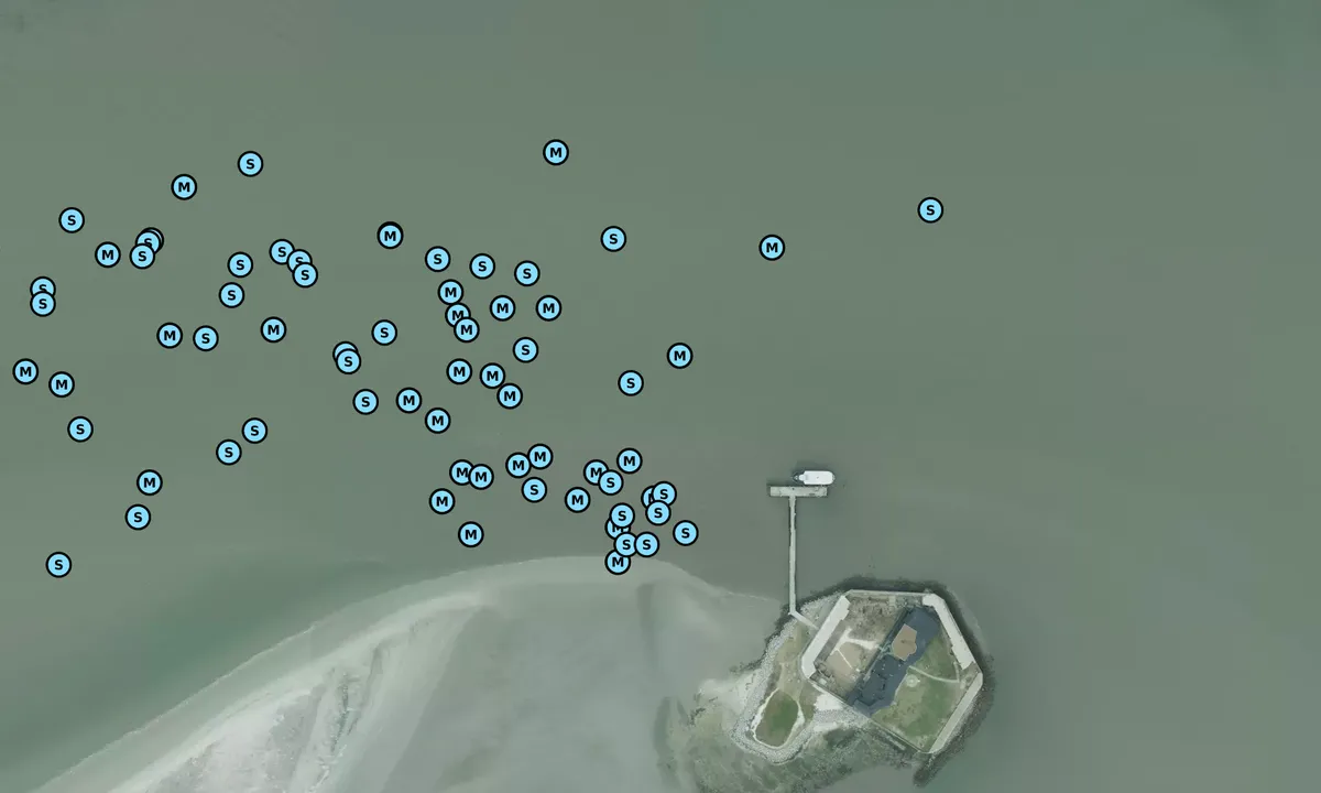 Satelite image of Fort Sumter