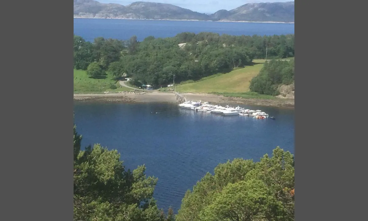 Fosnesvågen småbåtforening