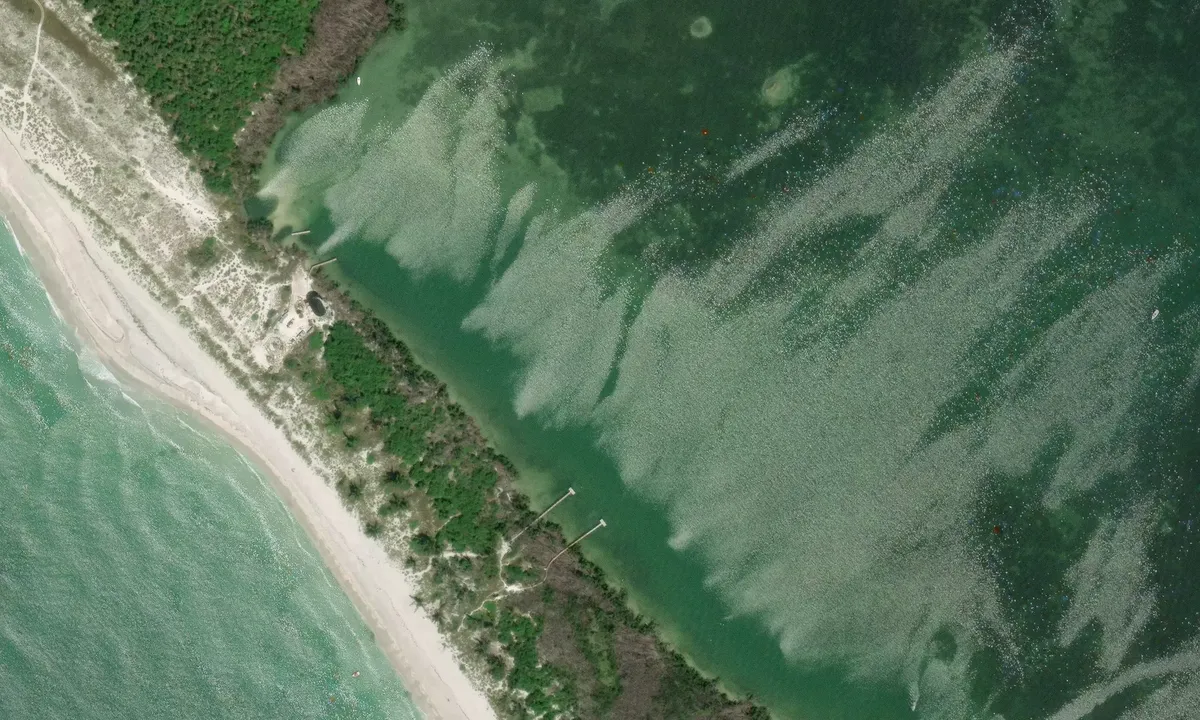 Satelite image of Fosters Bay