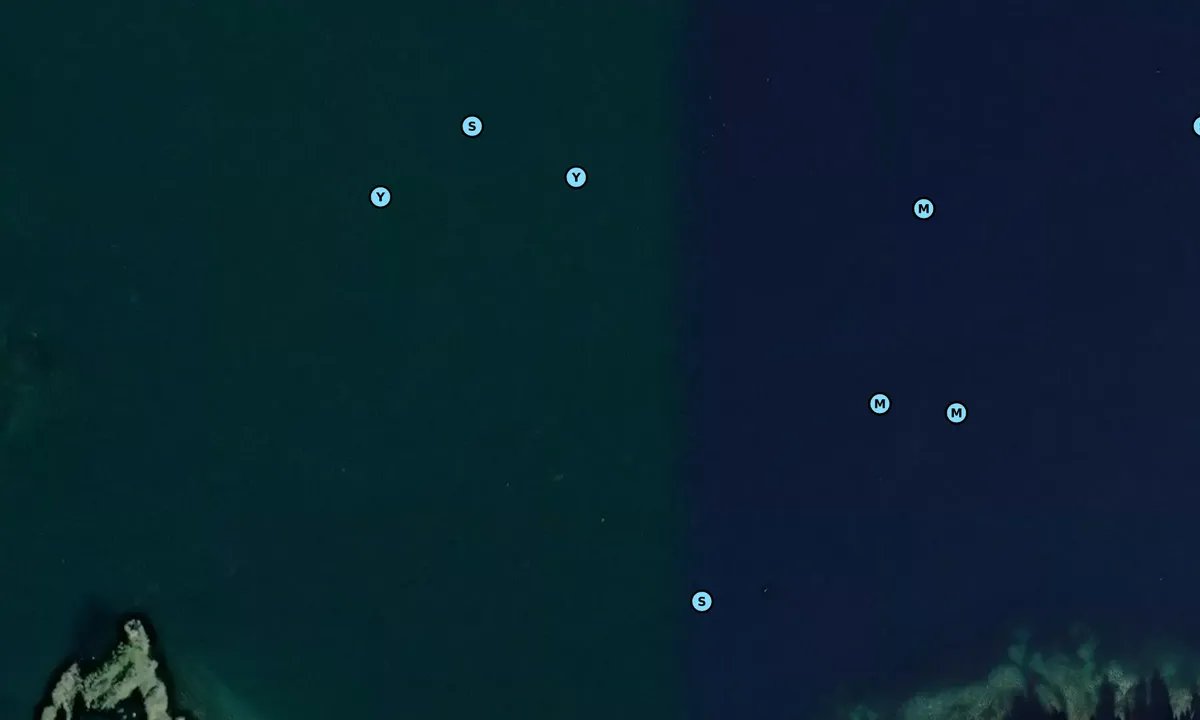 Satelite image of Four Islands