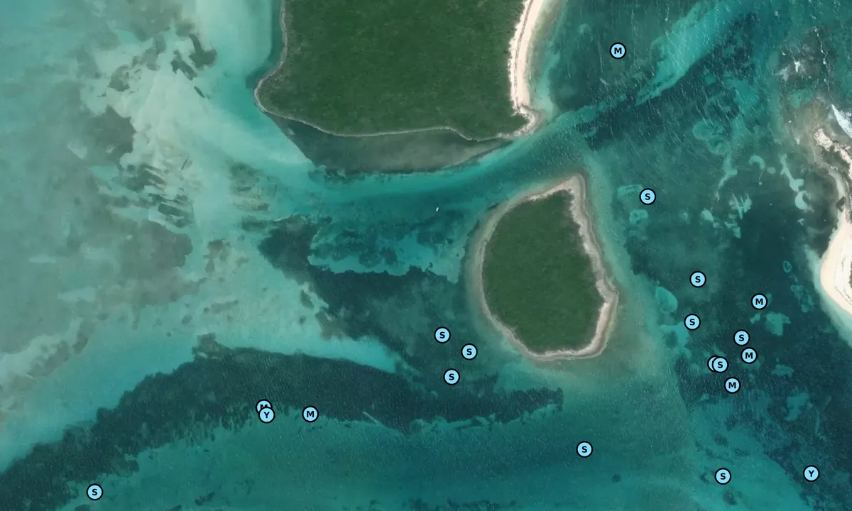 Satelite image of Fowl Cay 2