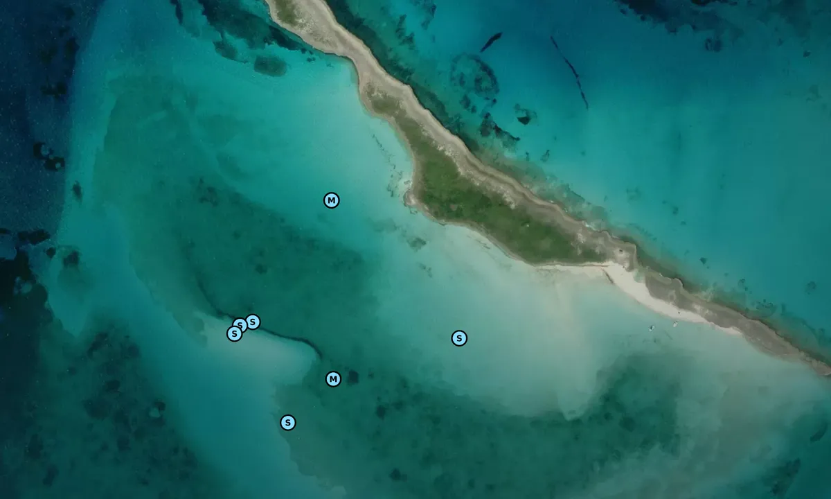 Satelite image of Fowl Cay Preserve