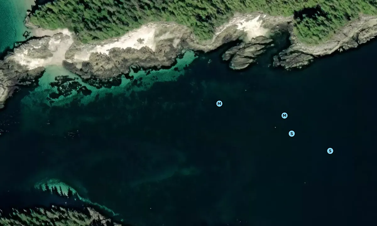 Satelite image of Fox Island