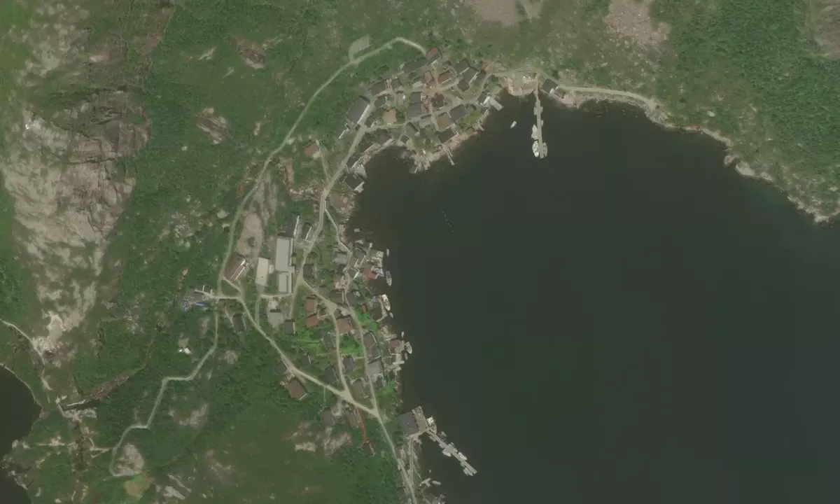Satelite image of Francois Bay and Harbor
