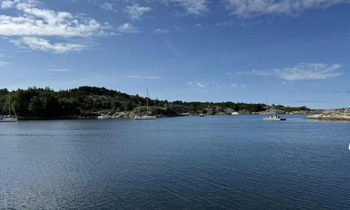 Fredagshølet