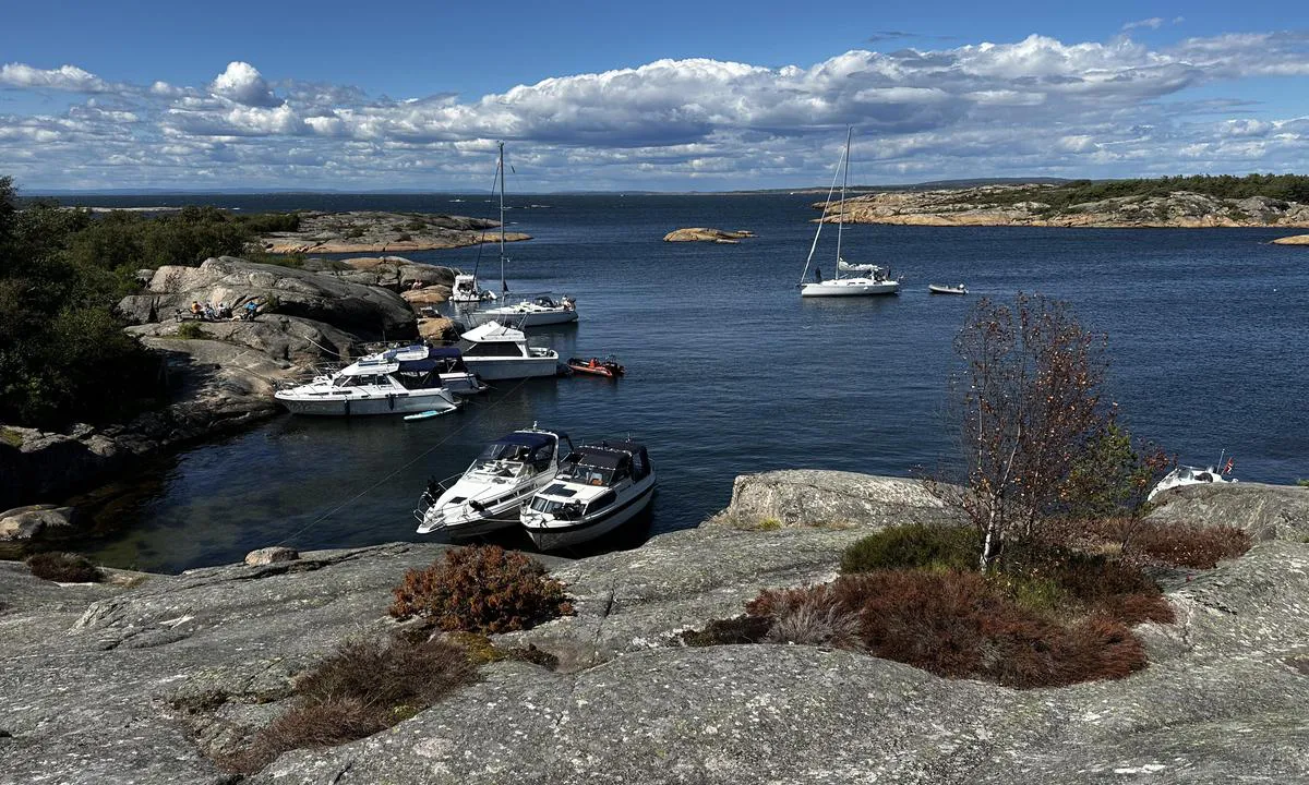 Fredagshølet: {"base": "no", "no": "S\u00d8 i bukta", "se": "S i bukten", "en": "SE in the bay", "da": "S\u00d8 i bugten"}