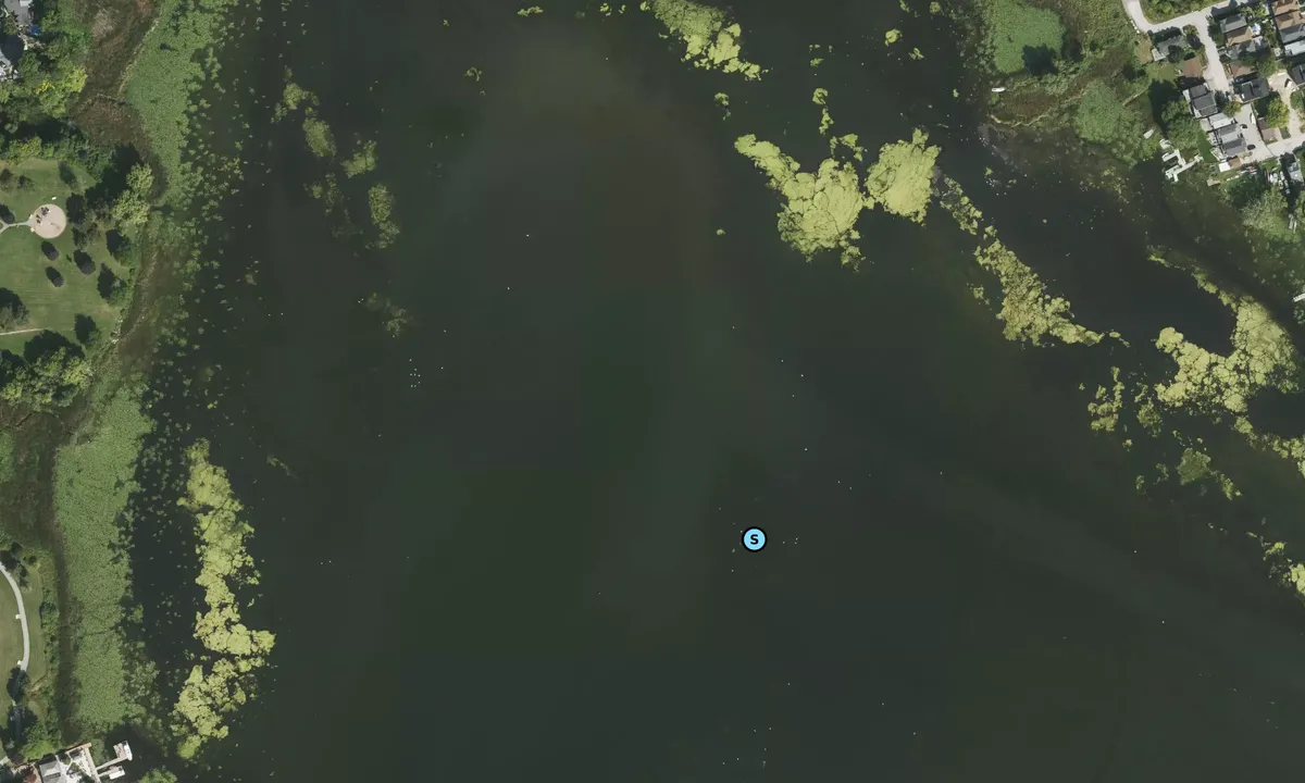 Satelite image of Frenchman's Bay