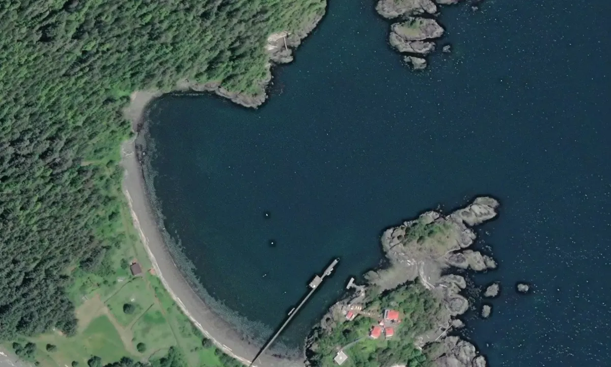 Flyfoto av Friendly Cove