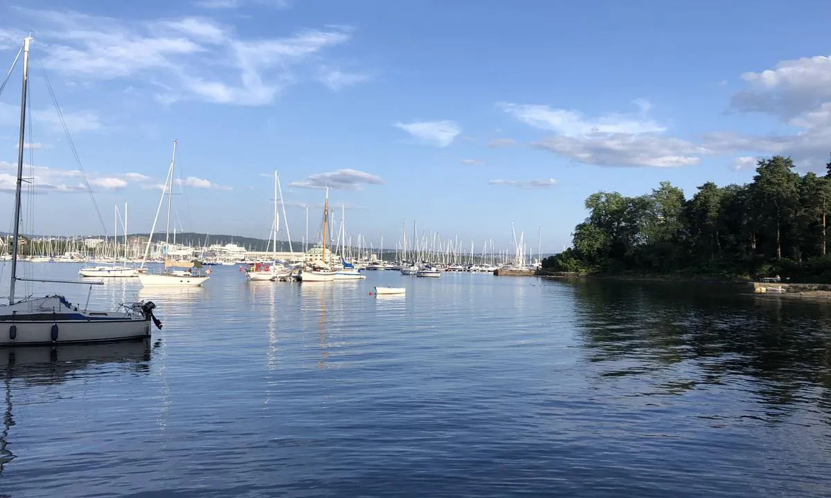 {"base": "no", "no": "P\u00e5 fine sommerdager kan det bli ganske fullt med b\u00e5ter p\u00e5 svai i Frognerkilen. Du kan ta jolla inn til Frognerstranda eller Bygd\u00f8y.", "se": "P\u00e5 fina sommardagar kan det bli ganska fullt med b\u00e5tar p\u00e5 svaj i Frognerkilen. Du kan ta jollen in till Frognerstranda eller Bygd\u00f8y.", "en": "On fine summer days, it can become quite crowded with boats anchored in Frognerkilen. You can take the dinghy to Frognerstranda or Bygd\u00f8y.", "da": "P\u00e5 fine sommerdage kan der blive ret fyldt med b\u00e5de p\u00e5 svaj i Frognerkilen. Du kan tage jollen ind til Frognerstranda eller Bygd\u00f8y."}