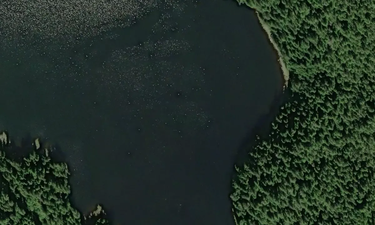 Satelite image of Frosty Bay