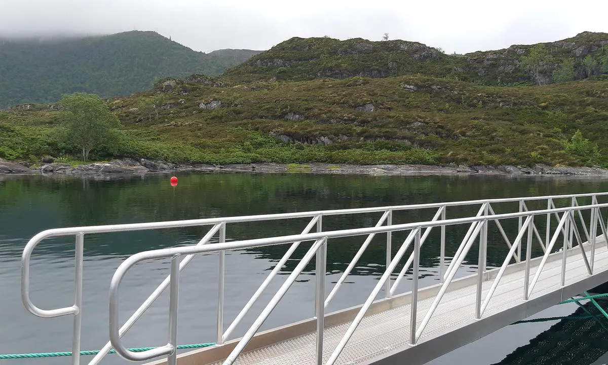 Furøya: {"base": "no", "no": "God brygge og landgang.\r\nTil venstre 2 b\u00f8yer til fort\u00f8yning.", "se": "God brygga och landg\u00e5ng.\nTill v\u00e4nster 2 bojar f\u00f6r f\u00f6rt\u00f6jning.", "en": "Good dock and gangway. To the left, 2 buoys for mooring.", "da": "God bro og landgang.<br>Til venstre 2 b\u00f8jer til fort\u00f8jning."}