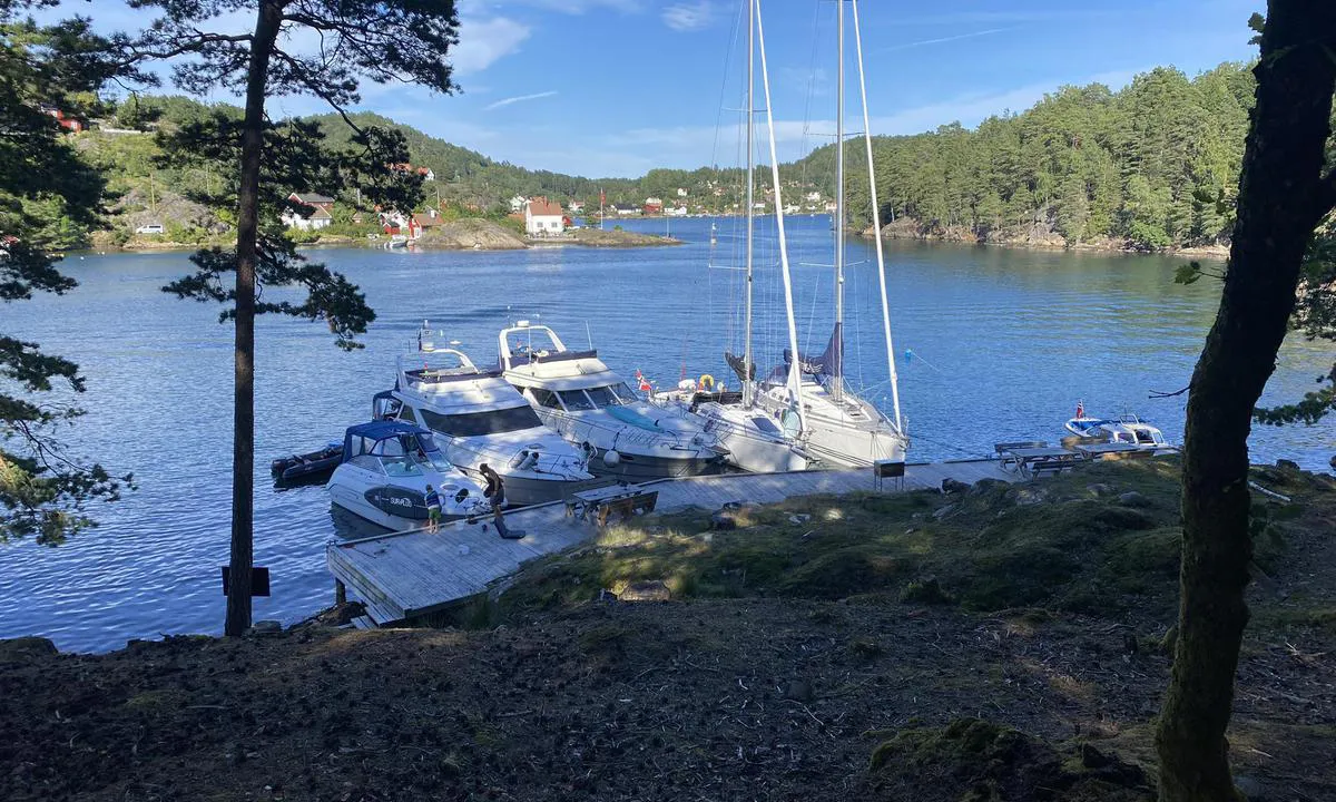 Furøya Øst: {"base": "no", "no": "Fint p\u00e5 \u00f8stsiden hvis det er fullt p\u00e5 vestsiden", "se": "Fint p\u00e5 \u00f6stsidan om det \u00e4r fullt p\u00e5 v\u00e4stsidan", "en": "Nice on the east side if it is full on the west side", "da": "Godt p\u00e5 \u00f8stsiden, hvis der er fyldt p\u00e5 vestsiden"}