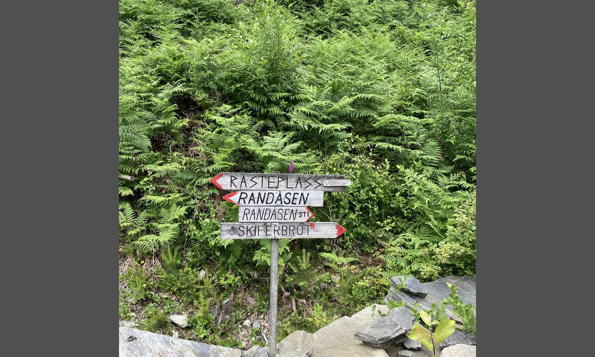 Furutangen misjonsenter: {"base": "no", "no": "P\u00e5 vei til  det h\u00f8yeste punktet p\u00e5 \u00f8ya Randosen", "se": "P\u00e5 v\u00e4g till den h\u00f6gsta punkten p\u00e5 \u00f6n Randosen", "en": "On the way to the highest point on the island of Randosen", "da": "P\u00e5 vej til det h\u00f8jeste punkt p\u00e5 \u00f8en Randosen"}