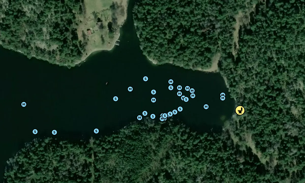 Satelite image of Gällnö - Västra Torsviken