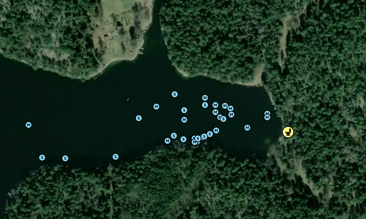 Satelite image of Gällnö - Västra Torsviken