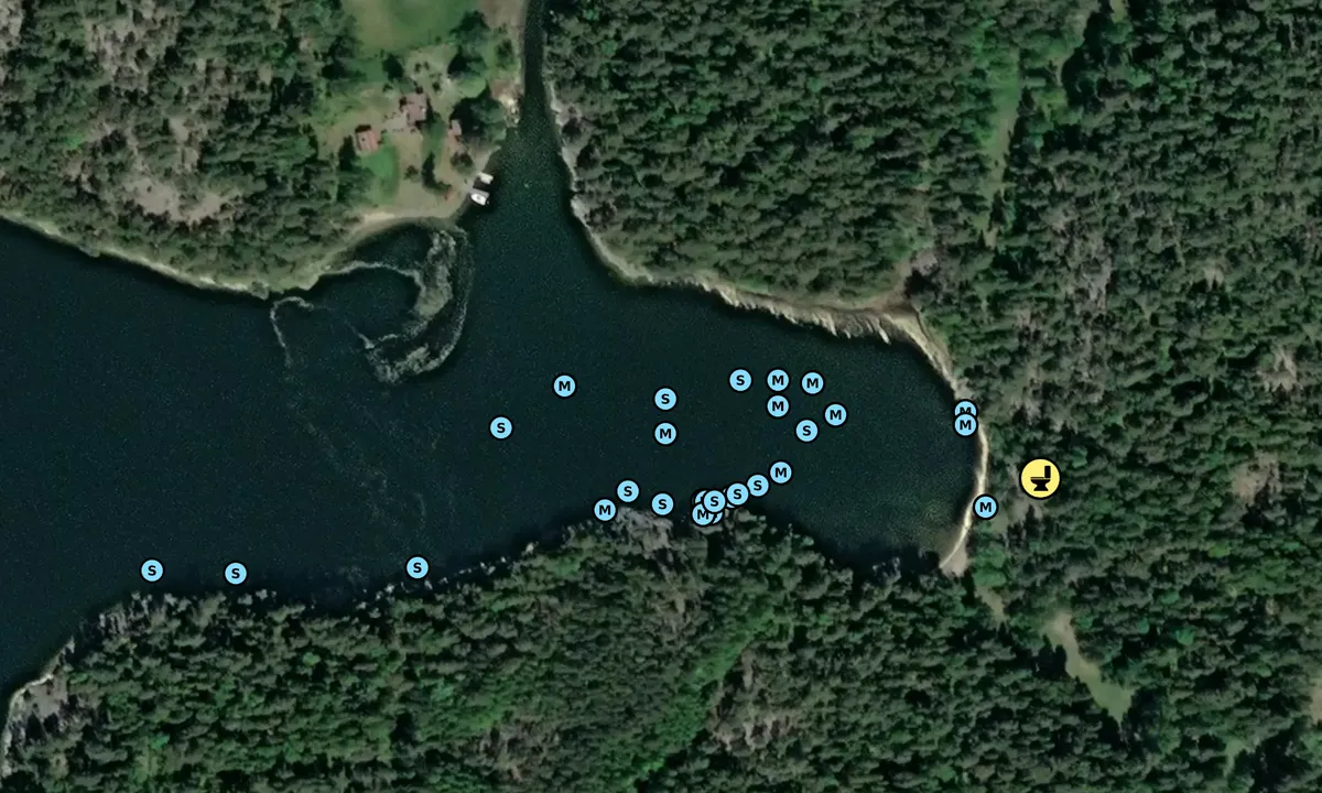 Satelite image of Gällnö - Västra Torsviken