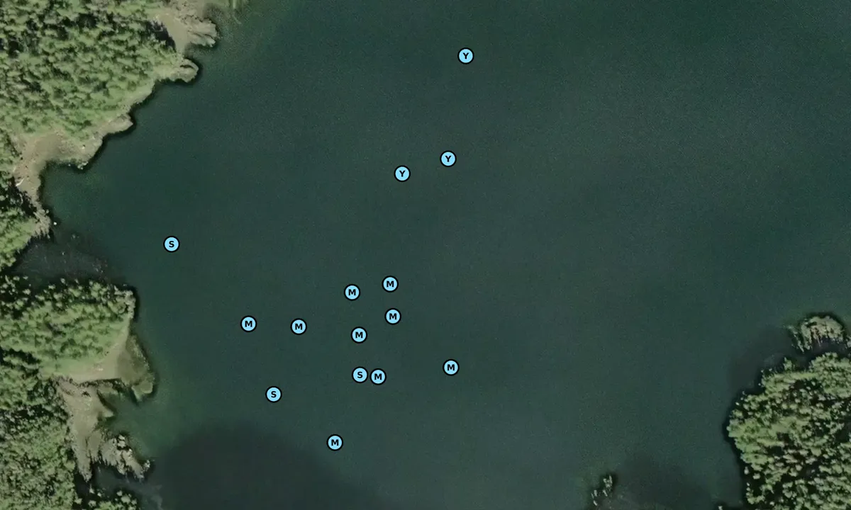 Satelite image of Gardner Bay Head