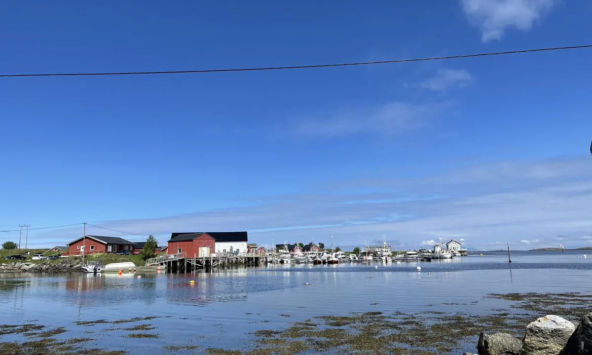 Gardsøya Gjestehavn: {"base": "no", "no": "Litt innenfor brygga ved verdensarvsenteret ligger et nydelig omr\u00e5de med private brygger og naust.", "se": "Lite innanf\u00f6r kajen vid v\u00e4rldsarvscentret ligger ett vackert omr\u00e5de med privata bryggor och b\u00e5thus.", "en": "Just inside the pier by the World Heritage Center lies a beautiful area with private docks and boathouses.", "da": "Lidt indenfor molen ved verdensarvscentret ligger et smukt omr\u00e5de med private broer og b\u00e5dhuse."}