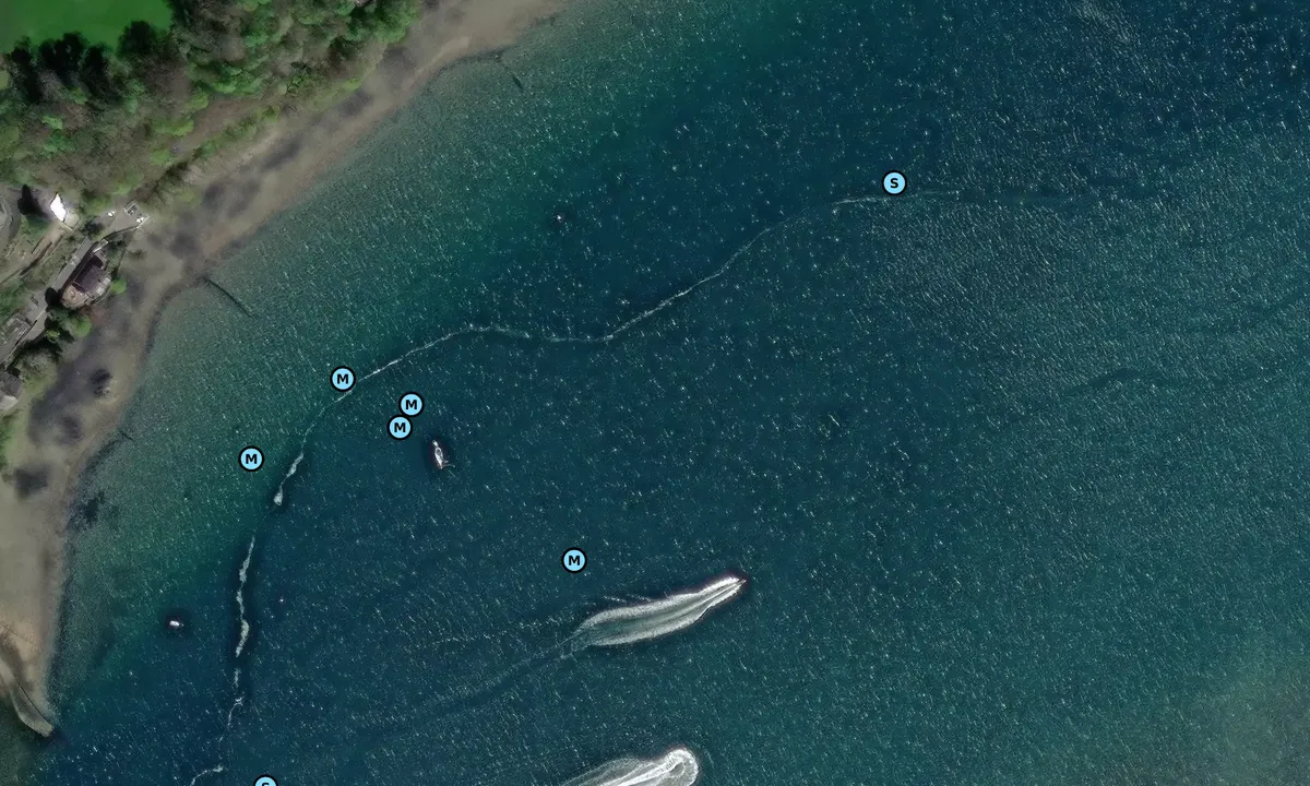 Satelite image of Garth-y-don (The Gazelle)
