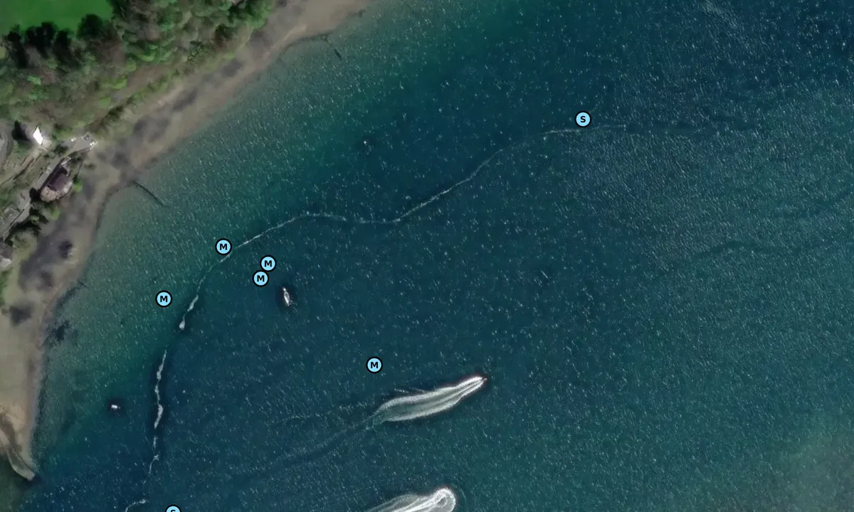 Satelite image of Garth-y-don (The Gazelle)