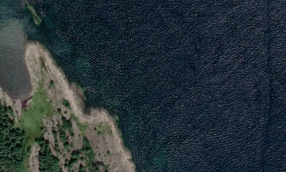 Satelite image of Gåsøy Øst