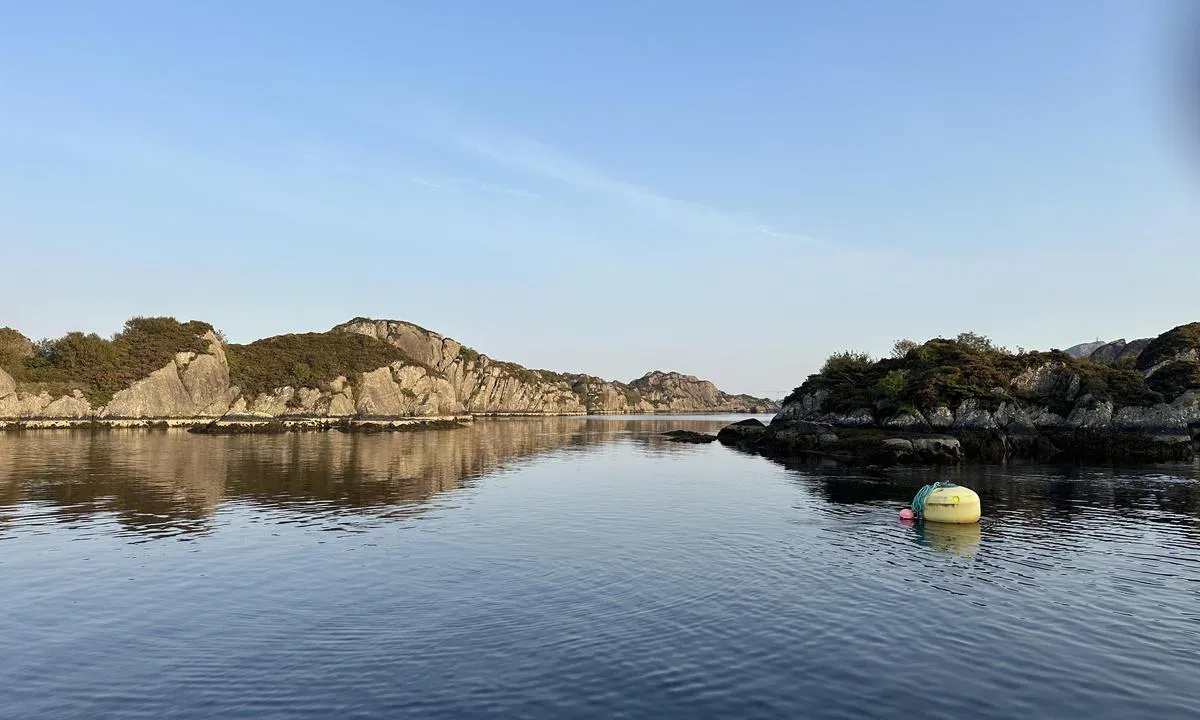 Geitarøyna