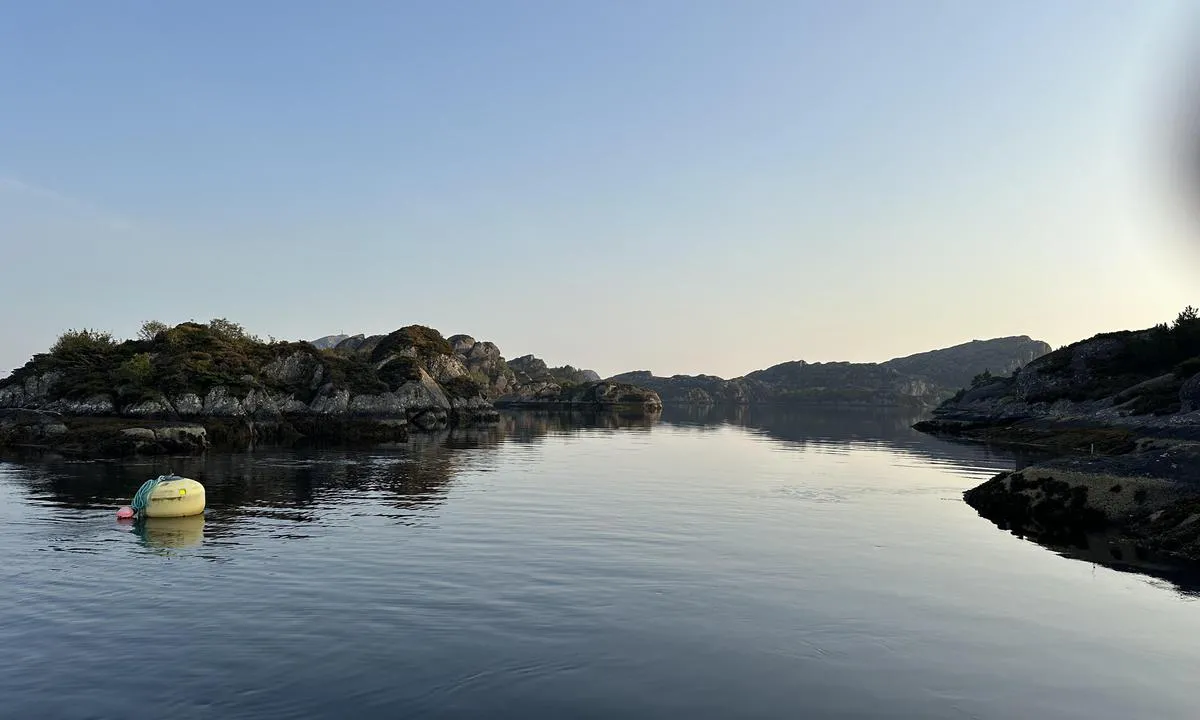 Geitarøyna