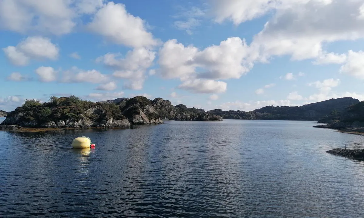 Geitarøyna: {"base": "no", "no": "Innl\u00f8p til ankringsplassen.", "se": "Inlopp till ankringsplatsen.", "en": "Entrance to the anchorage.", "da": "Indl\u00f8b til ankerpladsen."}