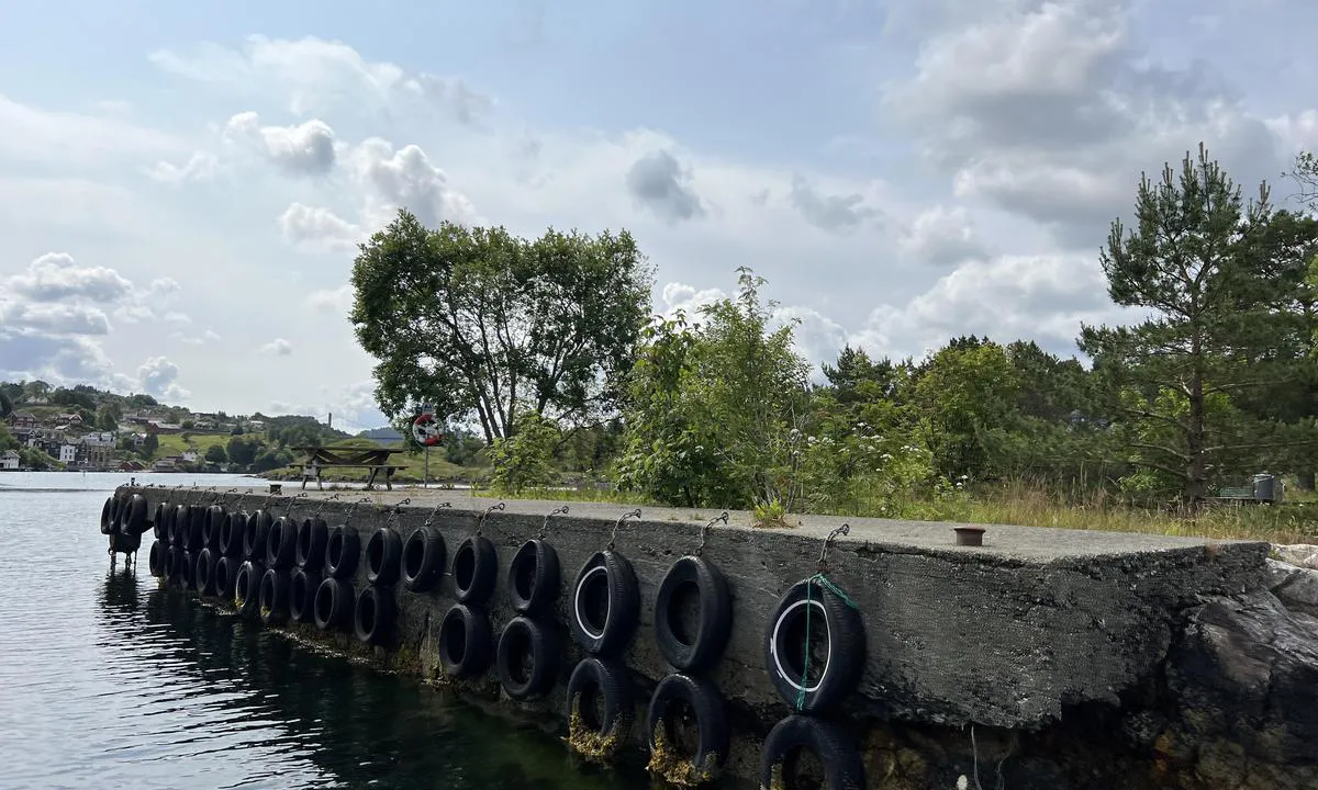 Geitøy i Alverstraumen: {"base": "no", "no": "Godt fendret betongkai mot \u00f8stre l\u00f8p i Alverstraumen. En del trafikk i \u00f8stre l\u00f8p kan gi b\u00f8lger mot kaien, der i blant skyssb\u00e5ter i rute til/fra Sogn.", "se": "V\u00e4l fendrad betongkaj mot \u00f6stra loppet i Alverstraumen. En del trafik i \u00f6stra loppet kan ge v\u00e5gor mot kajen, d\u00e4ribland passb\u00e5tar i rutt till/fr\u00e5n Sogn.", "en": "Well-fendered concrete quay facing the eastern passage in Alverstraumen. Some traffic in the eastern passage can create waves against the quay, including ferry boats on route to/from Sogn.", "da": "Godt fenderet betonkaj mod den \u00f8stlige sejlrende i Alverstraumen. En del trafik i den \u00f8stlige sejlrende kan give b\u00f8lger mod kajen, her iblandt f\u00e6rger i rute til/fra Sogn."}