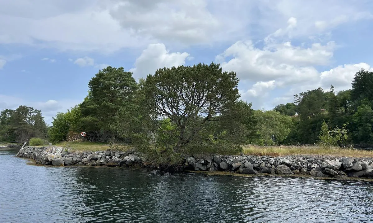 Geitøy i Alverstraumen