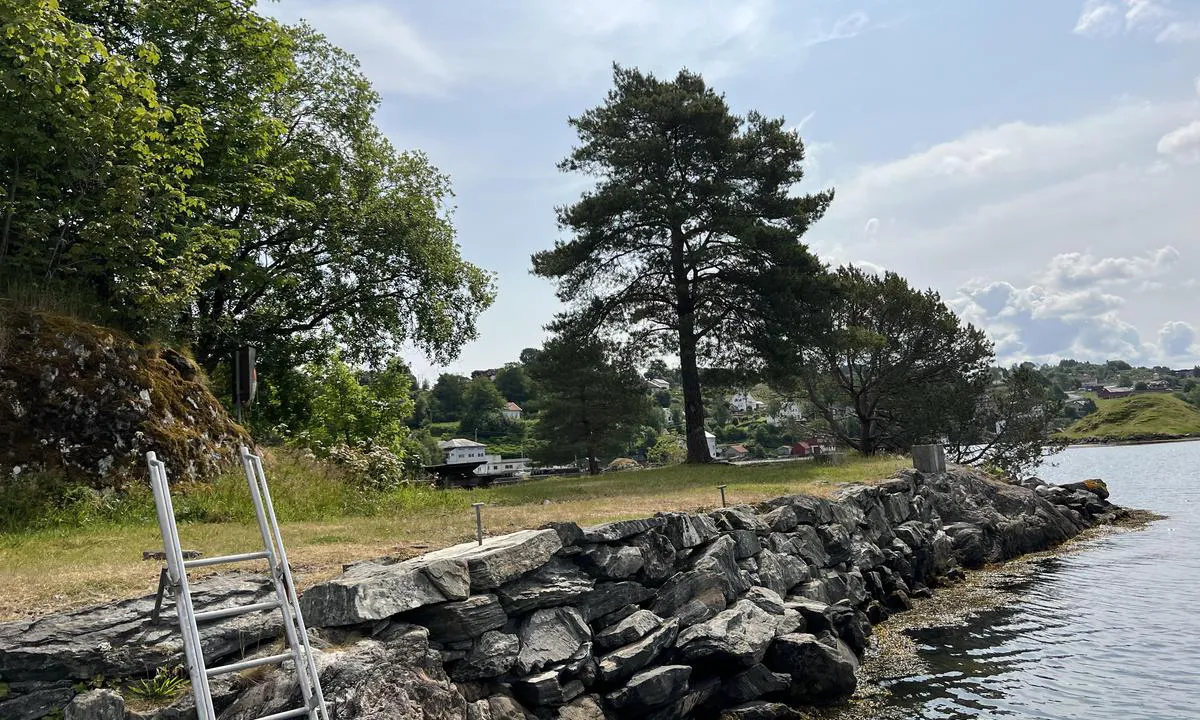 Østre siden av Geitøy med fortøyningsbolter og badestige. Bord med benker på land.