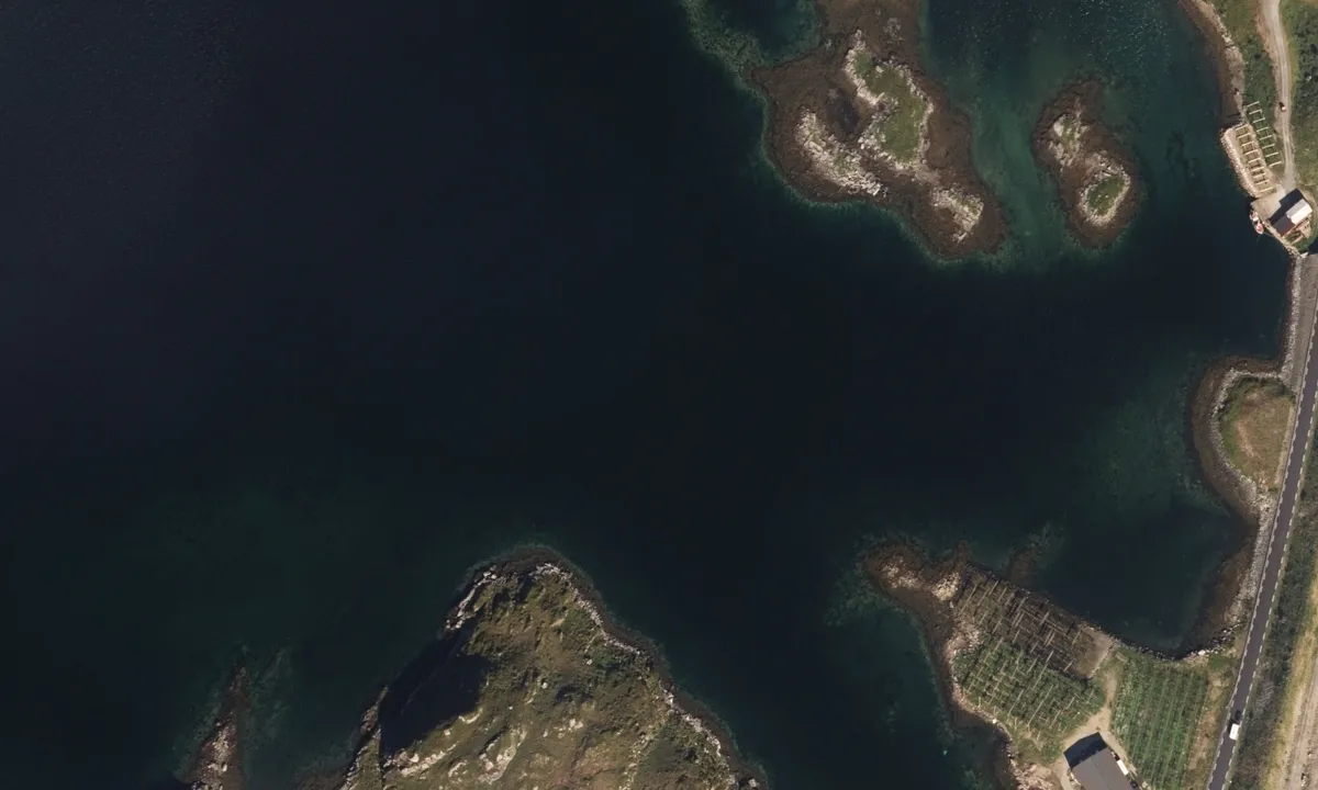Flyfoto av Geitøya