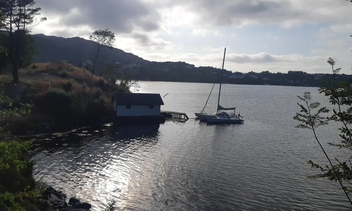 Geitvika