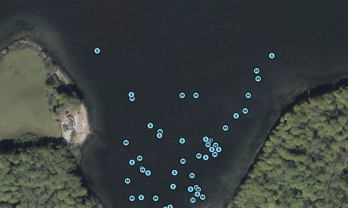 Satelite image of Genner Bugt