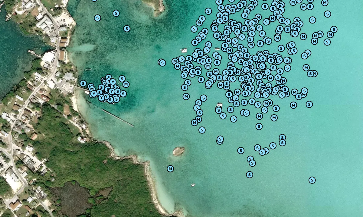 Satelite image of George Town - Exuma