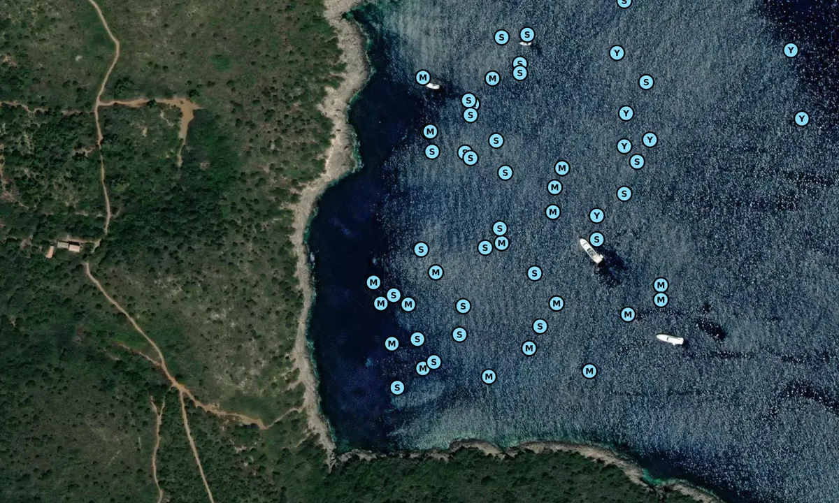 Satelite image of Giannutri Cala Spalmatoi