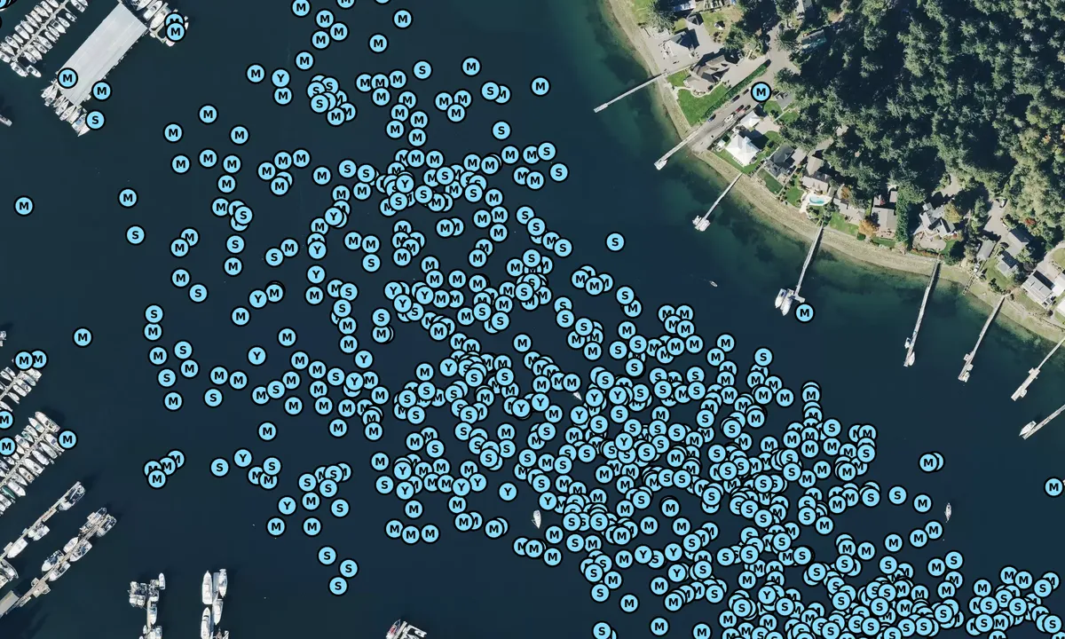 Satelite image of Gig Harbor - 2