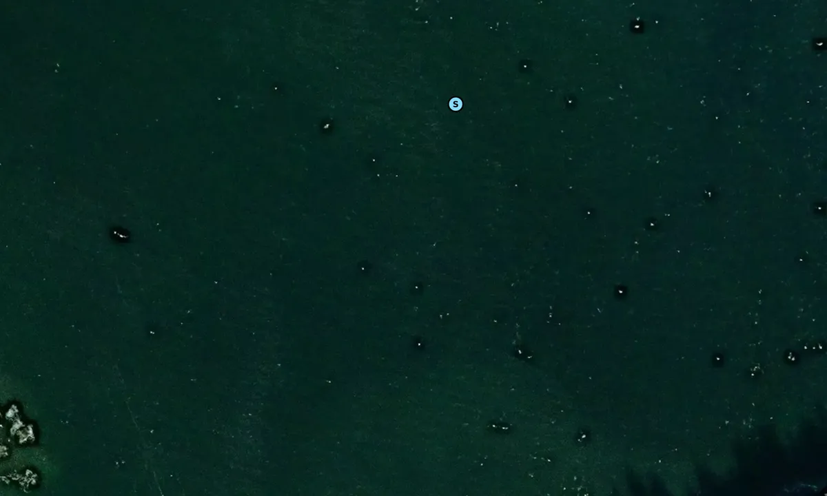 Satelite image of Gill Harbor