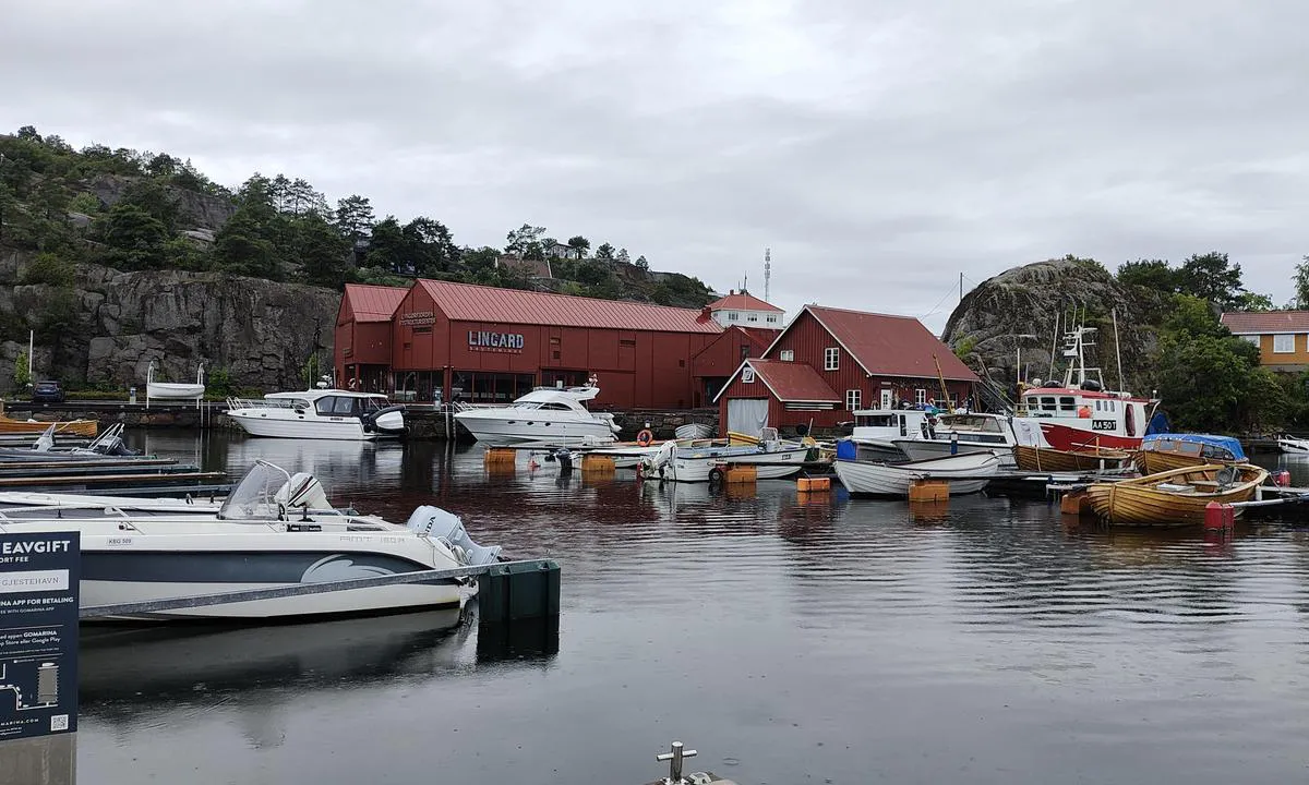 Gjeving gjestehavn: {"base": "no", "no": "2 plasser for b\u00e5ter opp til 40 fot foran Lyng\u00f8rfjorden Kystkultursenter", "se": "2 platser f\u00f6r b\u00e5tar upp till 40 fot framf\u00f6r Lyng\u00f8rfjorden Kustkulturcenter", "en": "2 spots for boats up to 40 feet in front of Lyng\u00f8rfjorden Coastal Culture Center", "da": "2 pladser til b\u00e5de op til 40 fod foran Lyng\u00f8rfjorden Kystkultursenter"}