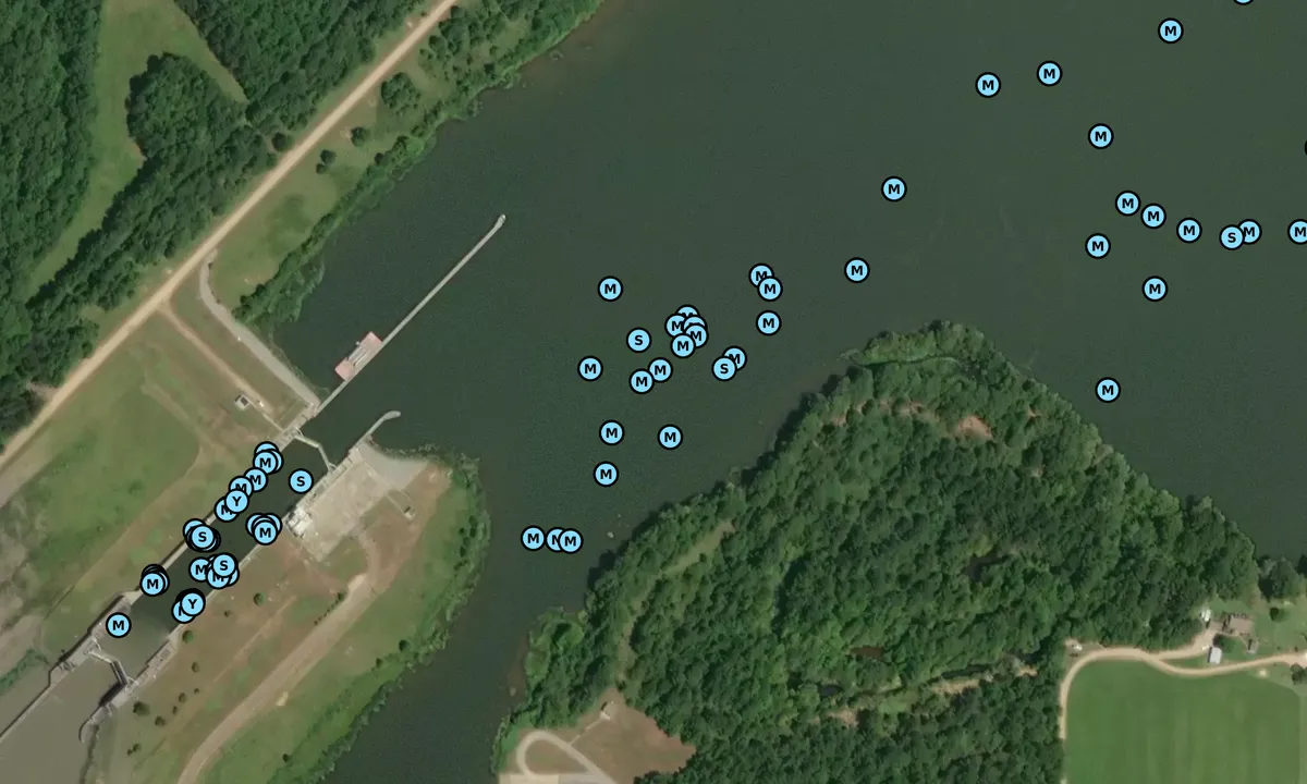 Satelite image of Glover Wilkins