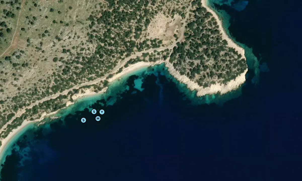 Satelite image of Goat beach